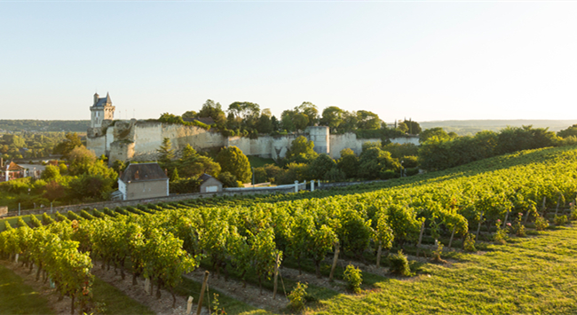 782f7b70-07a5-426c-a9e4-b4c7b08de6b5 782f7b70-07a5-426c-a9e4-b4c7b08de6b5