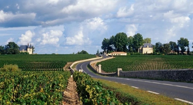 法國波爾多_650 法國波爾多_650