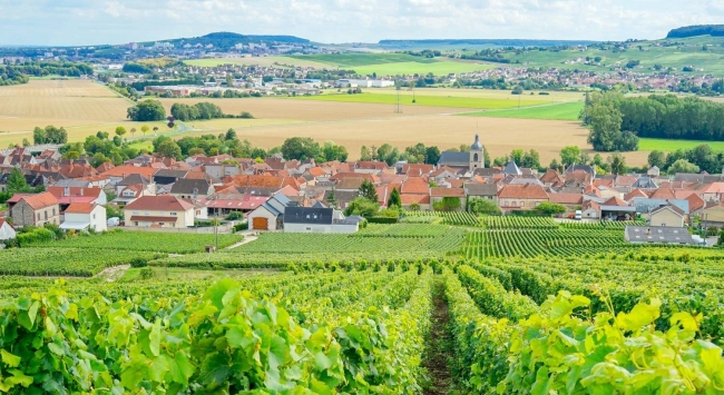 法國香檳產(chǎn)區(qū) 法國香檳產(chǎn)區(qū)