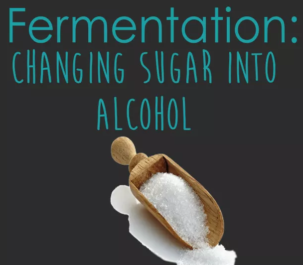 葡萄酒糖分越高，酒精度就越低？